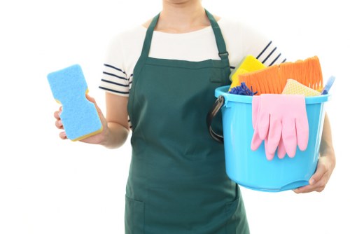 Accessibility statement introduction for Kingston Upon Thames Cleaners
