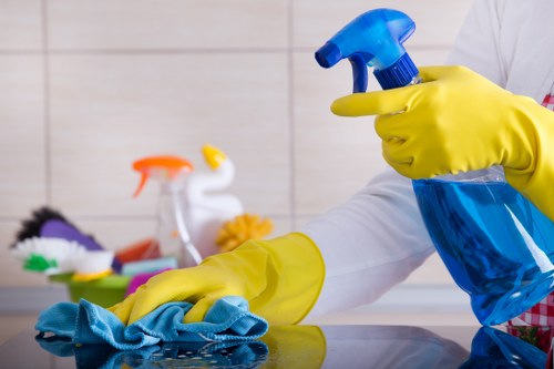 Cleaning professionals working in a Kingston upon Thames home