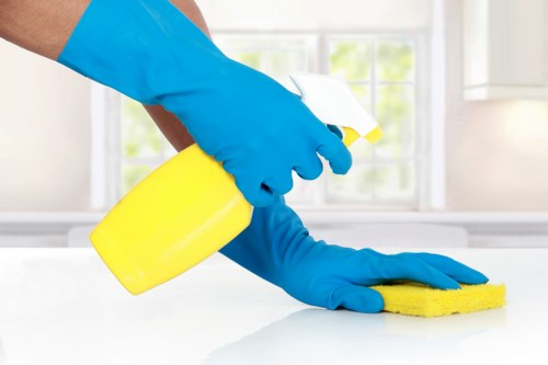 Deep cleaning service for Kingston Upon Thames homes and flats