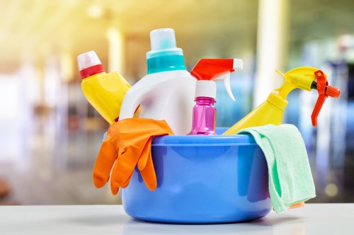 Professional cleaning of a kitchen during a routine visit