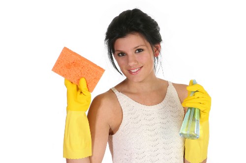 Professional pet stain odour removal treatment on a carpet in Kingston Upon Thames