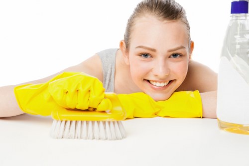 Upholstery stain treatment for a sofa in a Kingston home