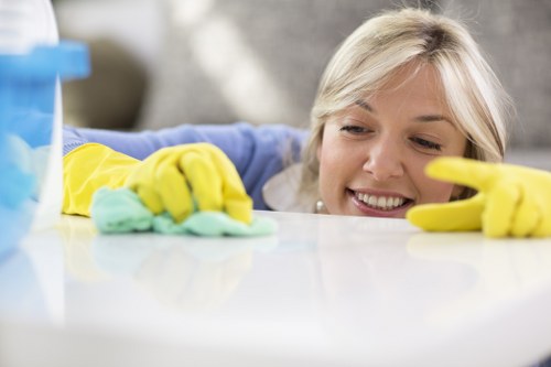 Kitchen and cupboard cleaning during a Kingston move-in service