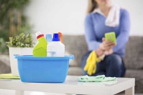 Upholstery cleaning for pet stain and smell removal in a Kingston property