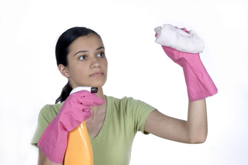 Kitchen and bathroom domestic cleaning in a Kingston apartment