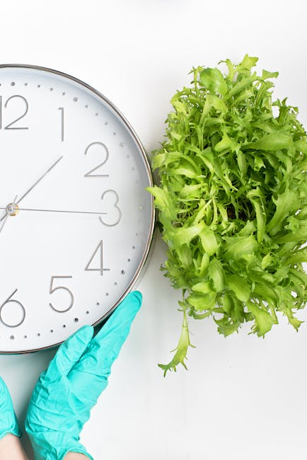 A person wearing a blue glove is holding a round wall clock with a white face, black numbers, and gold hands, showing the time as approximately 12:15. To the right of the clock, there is a fresh, vibrant green leafy lettuce plant. The surfaces are clean and the lighting is bright, emphasizing the pristine condition of the objects. The focus is on surface cleaning and sanitisation in a domestic setting, aligning with services offered by Kingston upon Thames Cleaners for same-day cleaning delays and solutions in Kingston, KINGSTON UPON THAMES.
